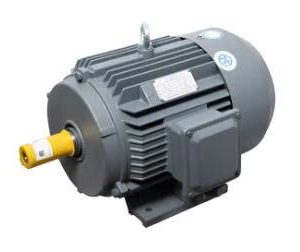 Z7402907245268 5f6ce98310d85d35bc18701a9a37de2f